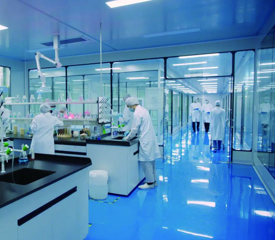 Researchers working in a laboratory