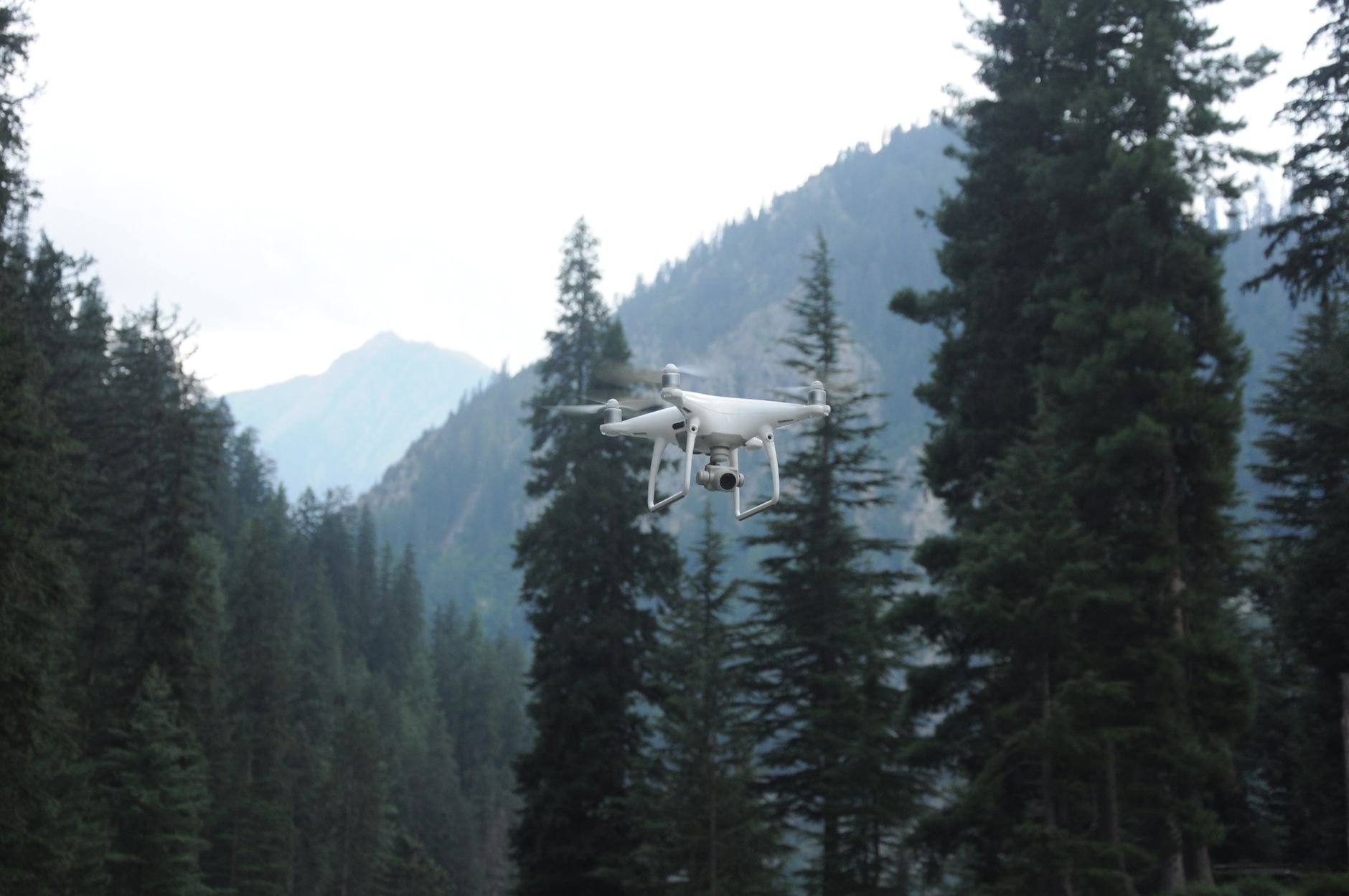 Finding Missing Persons at Night: UAV Thermal Search and Rescue